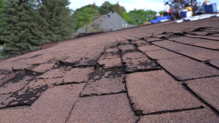 Best Roof Insulation Installation  in Marienville, PA