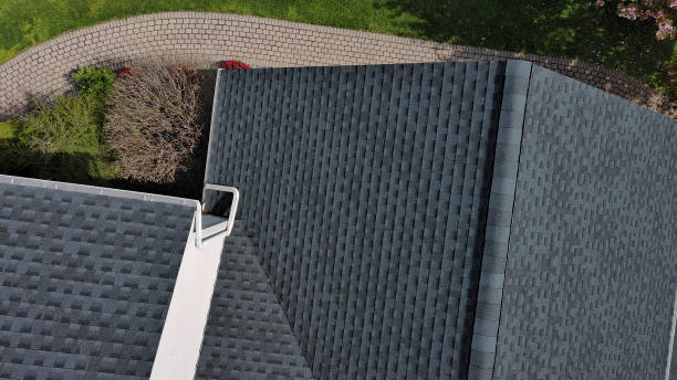 Best Roof Moss and Algae Removal  in Marienville, PA