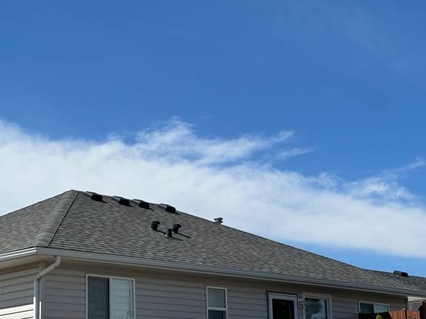 Best Metal Roofing Installation  in Marienville, PA